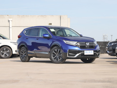 2021款 锐・混动e+ 2.0L 睿雅版