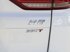 2021款 领秀系列 390T 尊享版