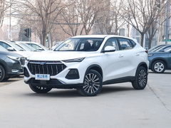 2021款 1.5T DCT豪华型