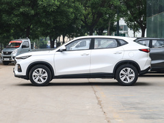 2021款 1.6L 手动精英型