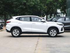 2021款 1.6L 手动精英型