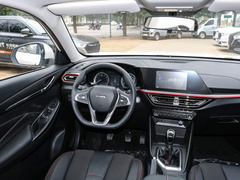 2021款 1.6L 手动精英型