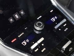 2021款 Panamera 4 E-Hybrid 2.9T