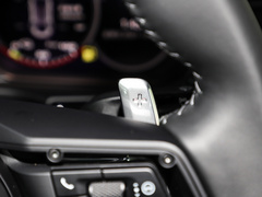 2021款 Panamera 4 E-Hybrid 2.9T
