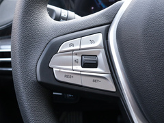 2020款 PLUS 荣耀百万版 1.6L GDI CVT精英型