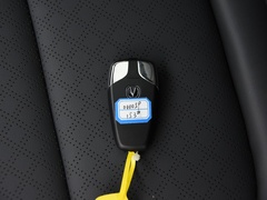 2020款 PLUS 荣耀百万版 1.6L GDI CVT豪华型