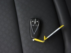 2020款 PLUS 荣耀百万版 1.6L GDI CVT豪华型
