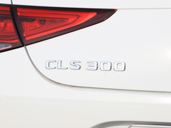 2021款 CLS 300 动感型