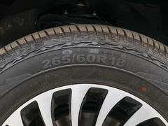 2021款  2.0T装甲大将军手动四驱休闲版尊享型长箱4F20TC