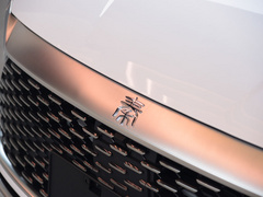 2021款 DM-i 120KM 尊贵型