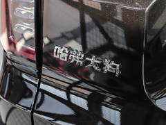 2021款 2.0T DCT四驱中华田园犬版