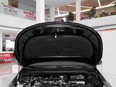2021款 2.0L 豪华版