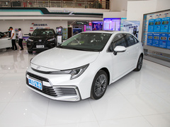2021款 2.0L 豪华版