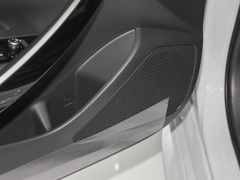 2021款 2.0L 豪华版