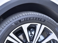 2021款 Supreme系列 300TGI 自动豪华座舱版