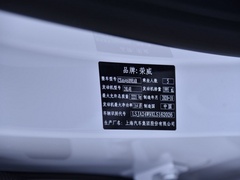 2021款 Supreme系列 300TGI 自动豪华座舱版