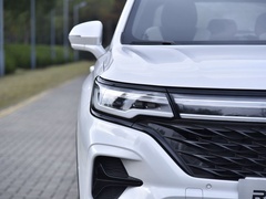 2021款 Supreme系列 300TGI 自动豪华座舱版