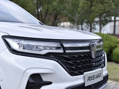 2021款 Supreme系列 300TGI 自动豪华座舱版