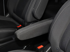 2021款 PLUS 2.0T 汽油自动豪华版