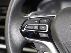 2021款 PLUS 2.0T 汽油自动豪华版