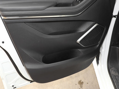 2021款 PLUS 2.0T 汽油自动豪华版