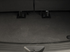 2021款 PLUS 2.0T 汽油自动豪华版