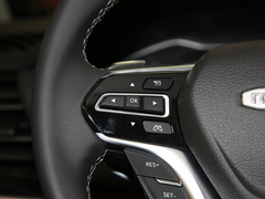 2021款 PLUS 2.0T 汽油自动智尊版