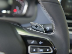 2021款 PLUS 2.0T 汽油自动旗舰版