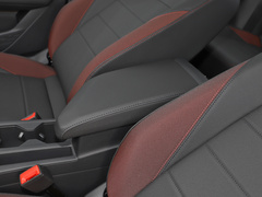 2021款 280TSI DSG精英智联版