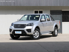 2021款 2.0T柴油两驱精英型大双排国VI GW4D20M