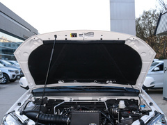2021款 2.4L汽油两驱精英型大双排国VI 4K22D4M