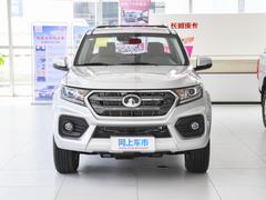 2021款  2.0T柴油两驱精英型大双GW4D20M