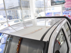 2021款  2.0T柴油两驱精英型大双GW4D20M