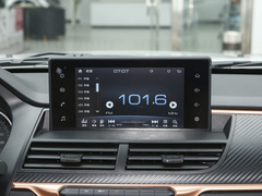 2021款  2.0T柴油四驱精英型大双GW4D20M
