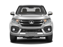 2021款  2.0T汽油四驱领航型大双GW4C20B