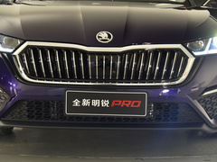 2021款 PRO TSI280 DSG旗舰版