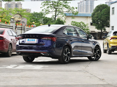 2021款 PRO TSI280 DSG尊贵版