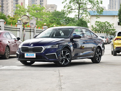 2021款 PRO TSI280 DSG尊贵版