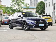 2021款 PRO TSI280 DSG尊贵版