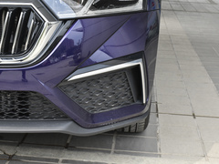 2021款 PRO TSI280 DSG尊贵版