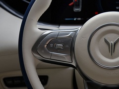 2021款  四驱标准增程版