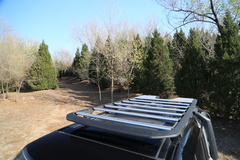 2021款 110 P400 X-DYNAMIC HSE