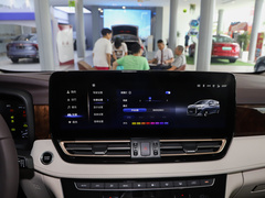 2023款 2.0T 智联旗领版