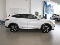 2021款 DM-i 110KM 旗舰PLUS