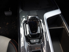 2021款 1.5T 铂金兔