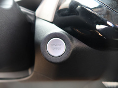 2021款 1.5T 铂金兔