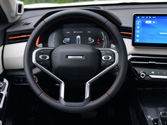 2021款 1.5T 铂金兔