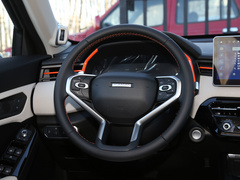 2021款 1.5T 铂金兔