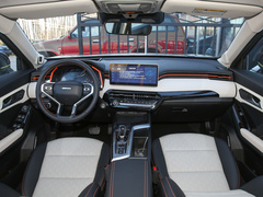 2021款 1.5T 铂金兔