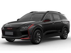 2020款 230T 自动黑武士版